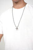 Haï argent (petite taille)
