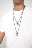Haï argent (petite taille)